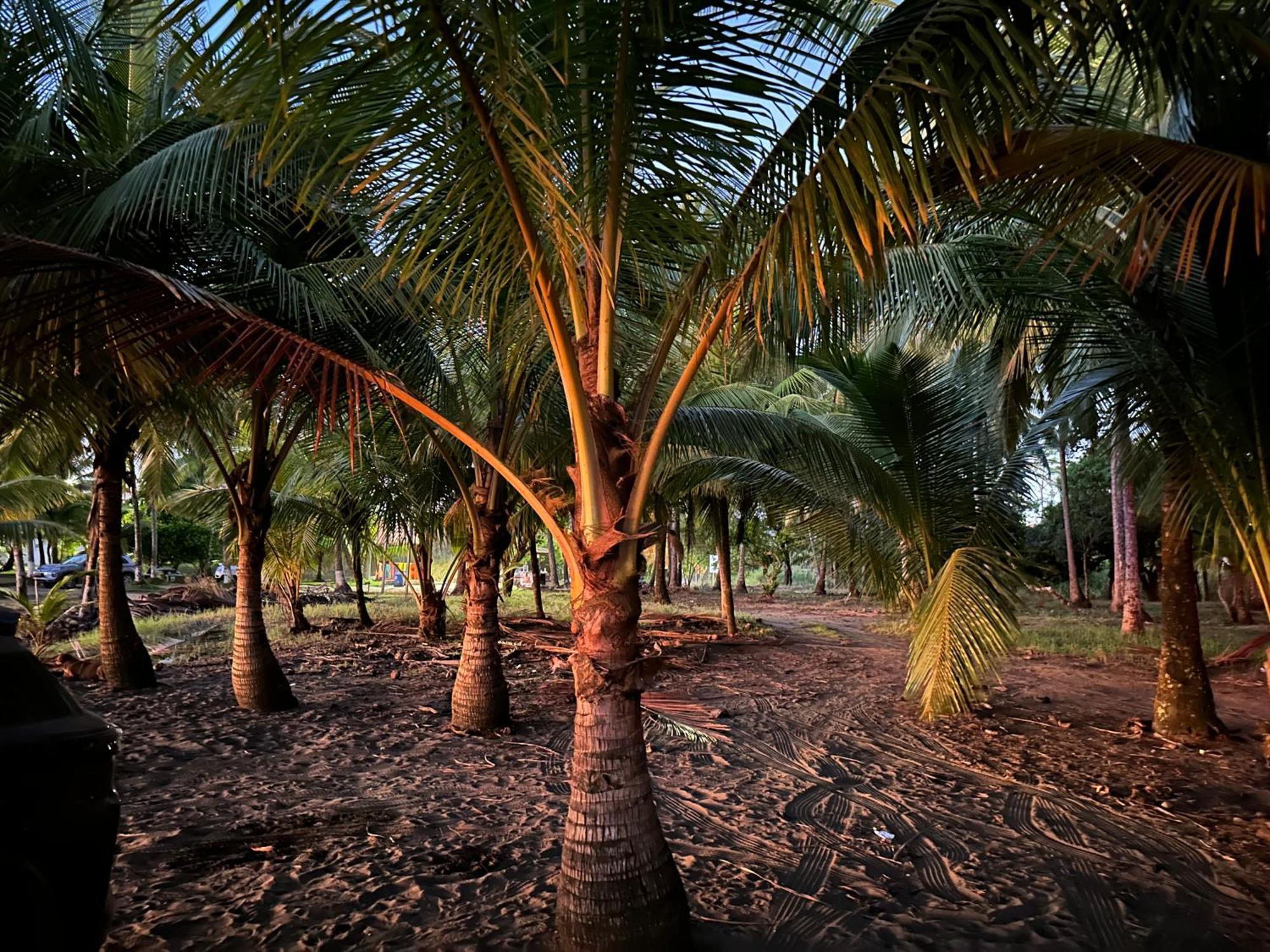 פאריטה Casa Paraiso Tropical מראה חיצוני תמונה
