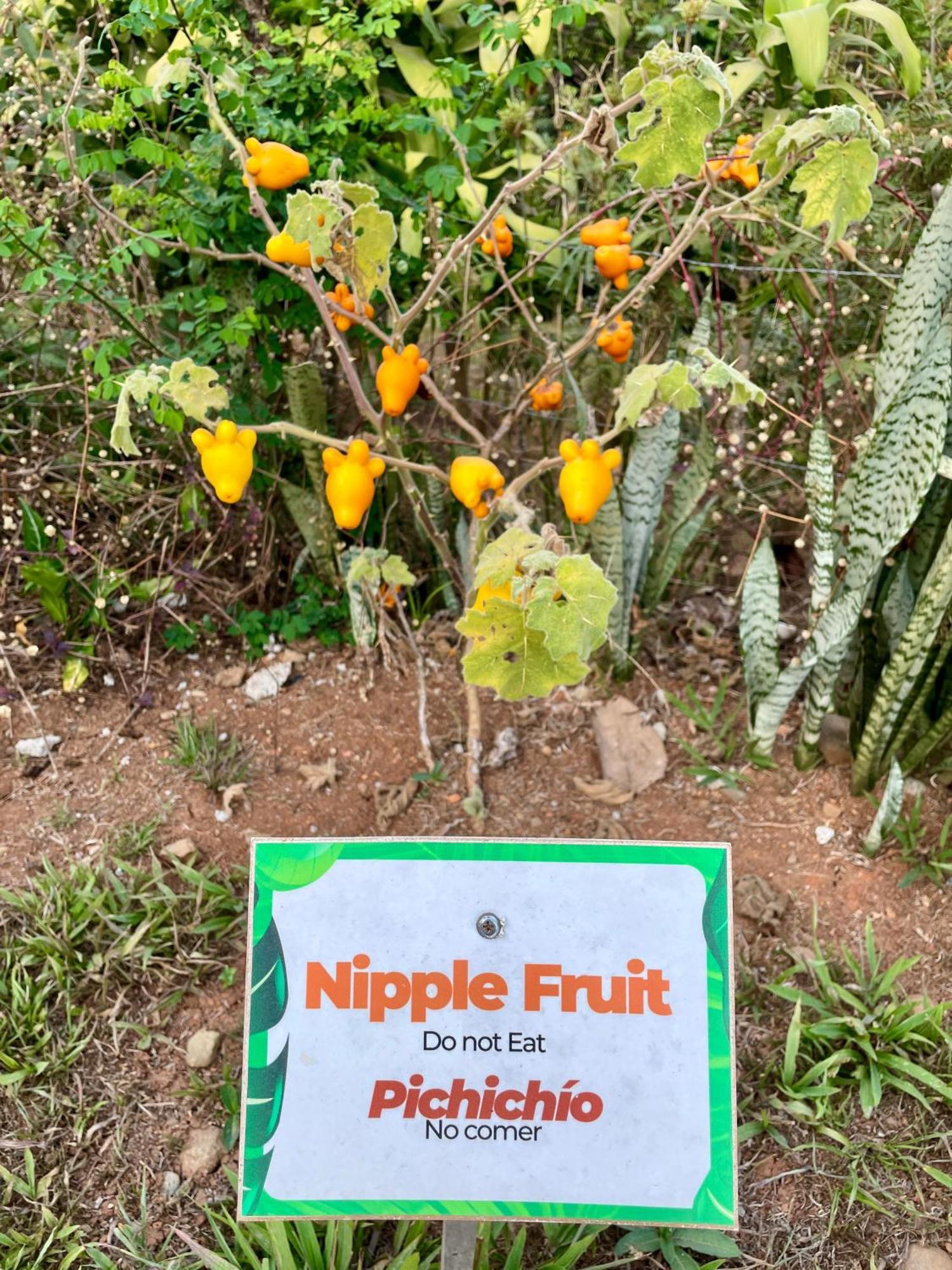 פאריטה Casa Paraiso Tropical מראה חיצוני תמונה